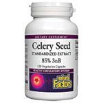Celery Seed Extract - 120 count, pack of 1